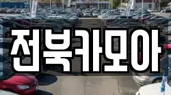 전북카모아
