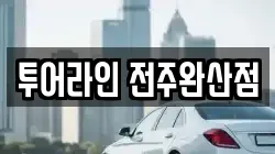 전북특별자치도 전주시 완산구 다가동1가 렌트카,단기렌트카,장기렌트카,중고차,중고차매매,중고차매입