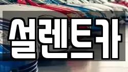 설렌트카