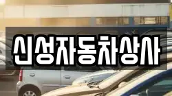 신성자동차상사