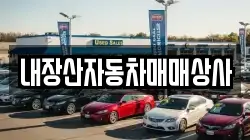 전북특별자치도 정읍시 부전동 렌트카,단기렌트카,장기렌트카,중고차,중고차매매,중고차매입