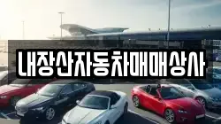 내장산자동차매매상사