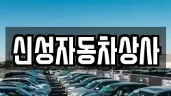신성자동차상사