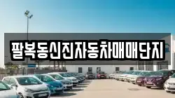 팔복동신진자동차매매단지