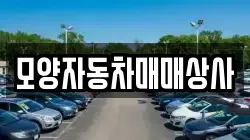 모양자동차매매상사
