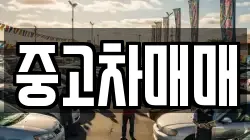 중고차매매