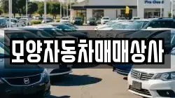 모양자동차매매상사