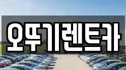 전북 고창군 렌트카,단기렌트카,장기렌트카,중고차,중고차매매,중고차매입