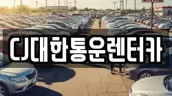 전북 군산시 금동 렌트카,단기렌트카,장기렌트카,중고차,중고차매매,중고차매입