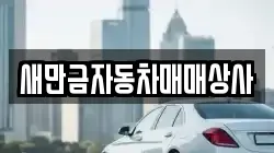 새만금자동차매매상사