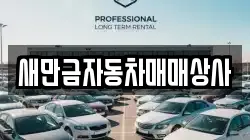 새만금자동차매매상사