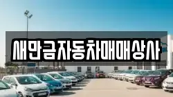 새만금자동차매매상사
