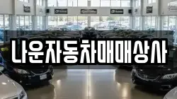나운자동차매매상사