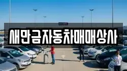 새만금자동차매매상사