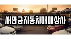 새만금자동차매매상사