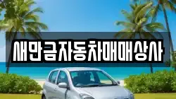 새만금자동차매매상사