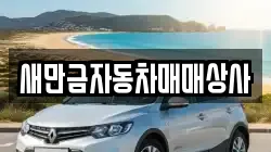 새만금자동차매매상사