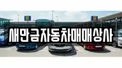 새만금자동차매매상사