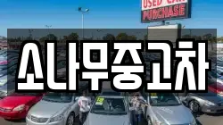 소나무중고차