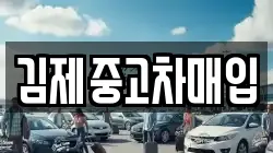 전북 김제시 금구면 렌트카,단기렌트카,장기렌트카,중고차,중고차매매,중고차매입