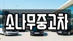소나무중고차