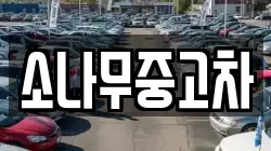 소나무중고차