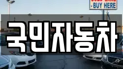 국민자동차