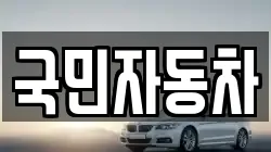 국민자동차
