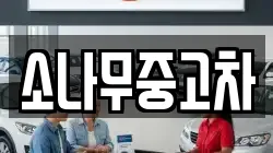 소나무중고차