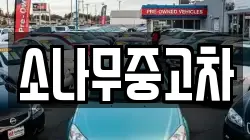 소나무중고차