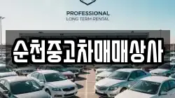 순천중고차매매상사