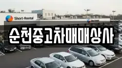 순천중고차매매상사