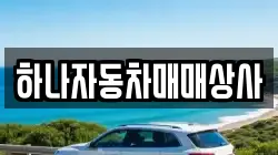 하나자동차매매상사