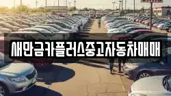 새만금카플러스중고자동차매매