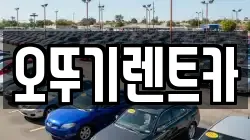 오뚜기렌트카