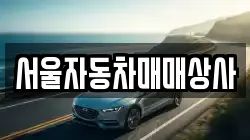 서울자동차매매상사