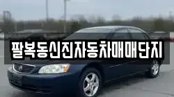 팔복동신진자동차매매단지