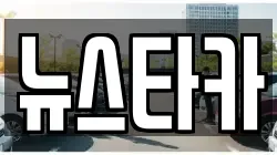뉴스타카