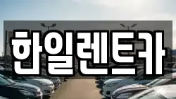 전북 익산시 마동 렌트카,단기렌트카,장기렌트카,중고차,중고차매매,중고차매입