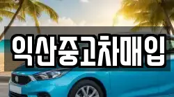 익산중고차매입