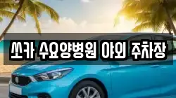 쏘카 수요양병원 야외 주차장