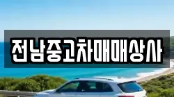 전남중고차매매상사