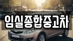 전북 임실군 성수면 렌트카,단기렌트카,장기렌트카,중고차,중고차매매,중고차매입
