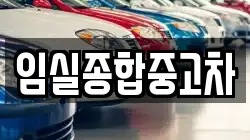 전북 임실군 신평면 렌트카,단기렌트카,장기렌트카,중고차,중고차매매,중고차매입