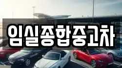 임실종합중고차