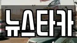 뉴스타카
