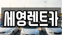 전북 전주시 덕진구 고랑동 렌트카,단기렌트카,장기렌트카,중고차,중고차매매,중고차매입