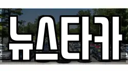 뉴스타카