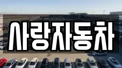 사랑자동차