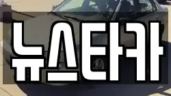 뉴스타카
